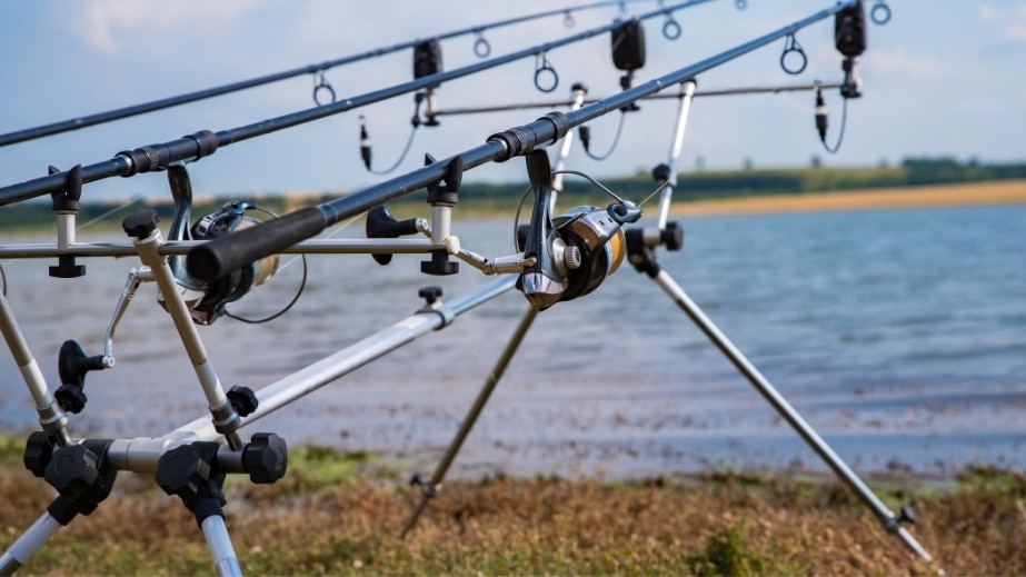 rod pod groesse